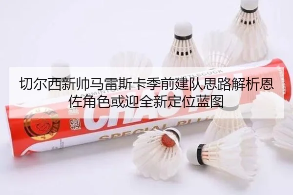 切尔西新帅马雷斯卡季前建队思路解析恩佐角色或迎全新定位蓝图